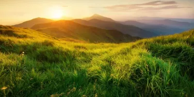 Neue Geschäftsfelder der Luana-Gruppe